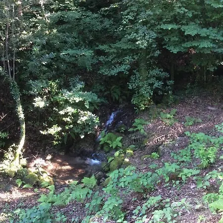 Pensión Campismo Rural Rio Caldo